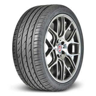 Delinte Dh2 205 55 R16 Купить