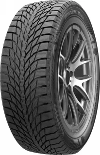 Шины Kumho WI51