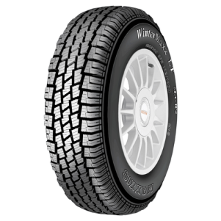 Шины Maxxis WinterMaxx MA W2