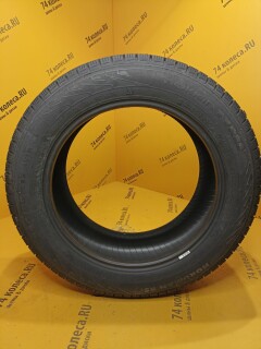 Зимняя шина Nokian Tyres Nordman RS2 225/55 R17 101R фото 3