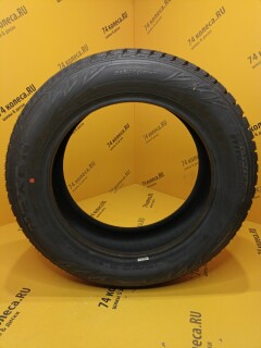 Зимняя шина Nexen Winguard WinSpike WH62 215/60 R17 100T фото 3