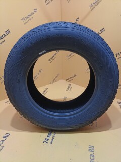 Зимняя шина Nokian Tyres (Ikon) Hakkapeliitta R2 195/65 R15 95R фото 2