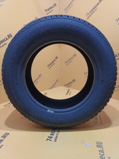 Зимняя шина Nokian Tyres (Ikon) Hakkapeliitta 10p 195/65 R15 95T фото 2